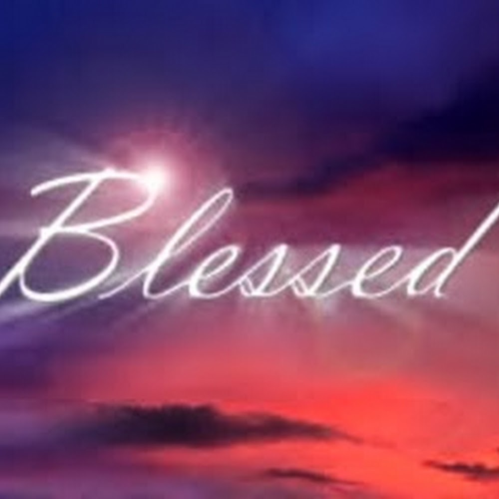 Meet your Posher, Darcy